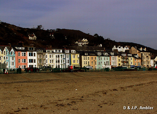Aberdovy ADY5