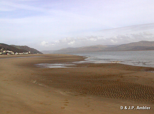 Aberdovy ADY6