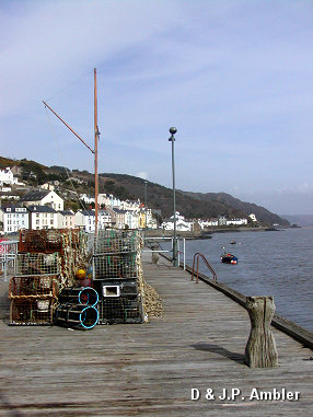 Aberdovy ADY7
