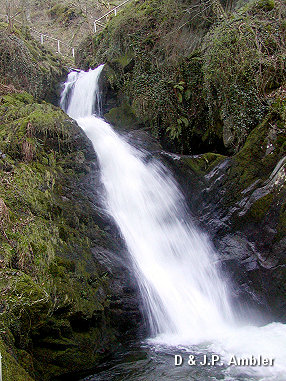 Dolgoch Falls Talyllyn ADY10