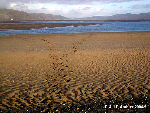 Footprints