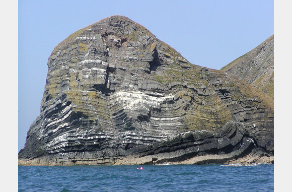 Birds Rock close-up