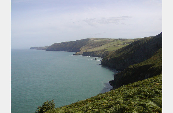 Coast from Ynis Lochtyn 2