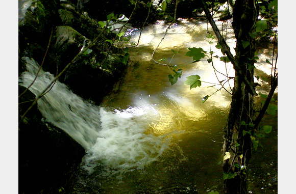 sunlit pool
