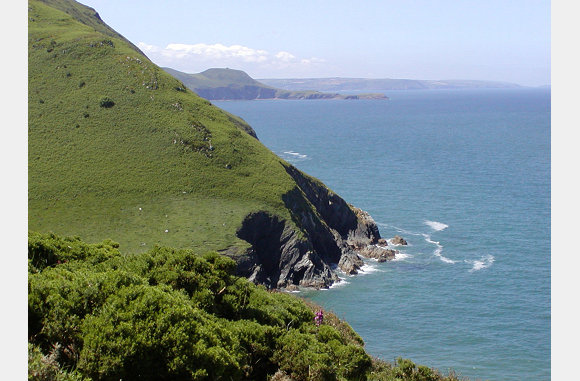 Cwmtydu cliffs 1