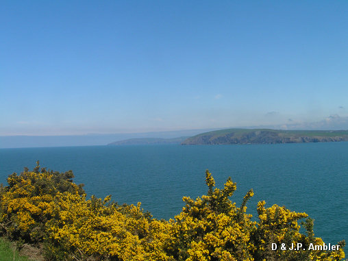 Dinas Island FG20