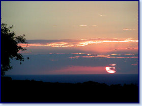 sunset trees 0