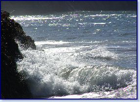 Mwnt 1