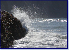 Mwnt 3