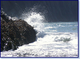 Mwnt 4