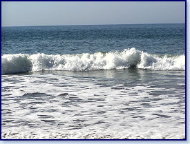 Mwnt 5