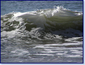 Mwnt 6