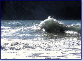 Mwnt 8