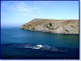 Cardigan island 10