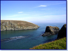 Cardigan island 12
