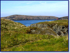 Cardigan island 19