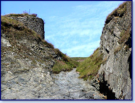 Cardigan island 20