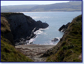 Cardigan island 21