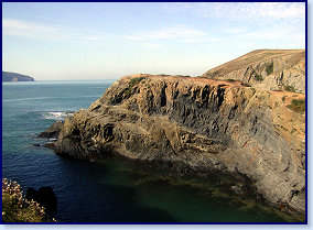 Cardigan island 8