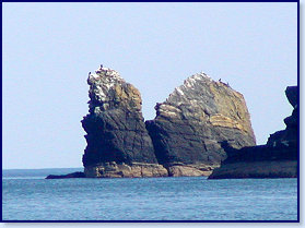 Penbryn 2