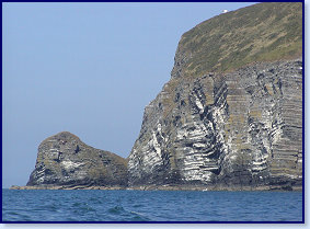 Birds Rock at sea level