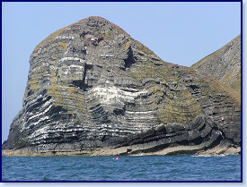 Birds Rock close-up