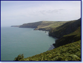 Coast from Ynis Lochtyn 2