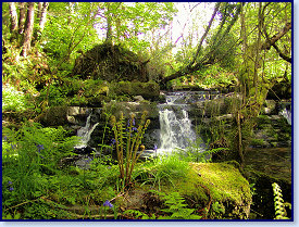Cwmtydu waterfalls 2