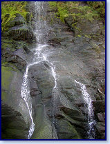 Tresaith 11