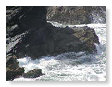 Ynys Lochtyn 05