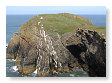 Ynys Lochtyn 04