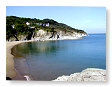 Headland ABP14