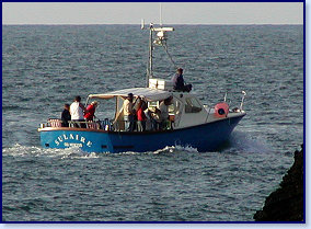 sulaire at sea