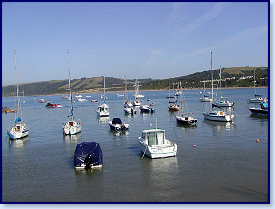 sunny harbour 2