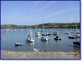 sunny harbour 1