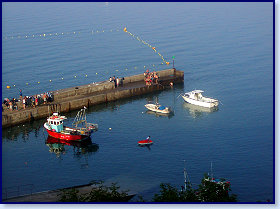 sunny harbour 10
