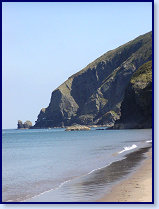 Penbryn 4