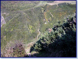 Penbryn path 3