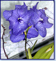 P6300009