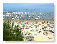 beach in summer01   NQ29