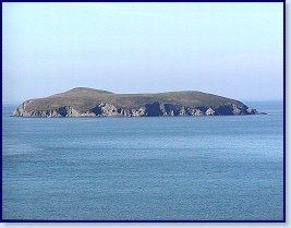 Cardigan island 0