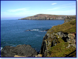 Cardigan island 1
