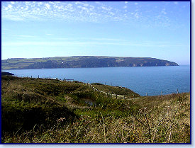 Cardigan island 2