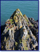 Cardigan island 5