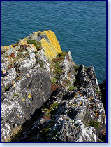 Cardigan island 6