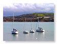 harbour in spring01   NQ15