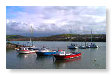 harbour in spring02   NQ16
