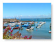 harbour scenes05   NQ24