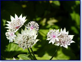 P6300053