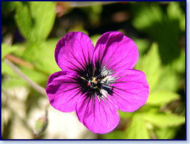 P6300054